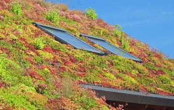 Little Ryburgh living roof systems